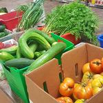 Community Garden Grows 853 Kilograms of Produce for Port Cares Food Bank! 