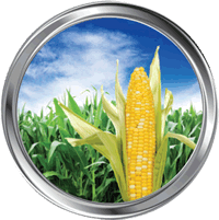 Zinc, manganese and potassium are used as a micro-nutrient to grow corn for bio-fuel
